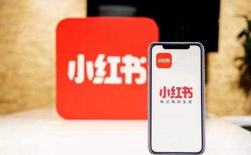 杭州噫融網(wǎng)絡(luò) 以專業(yè)運(yùn)營驅(qū)動小紅書種草推廣，助力計(jì)算機(jī)軟硬件品牌搶占市場先機(jī)